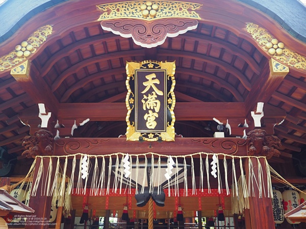 P5260083_縮.JPG